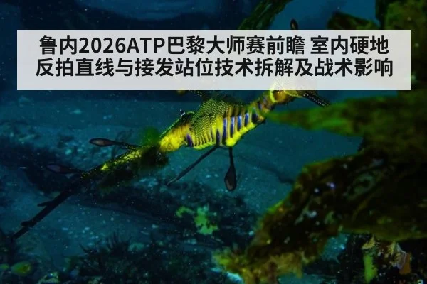 鲁内2026ATP巴黎大师赛前瞻 室内硬地反拍直线与接发站位技术拆解及战术影响